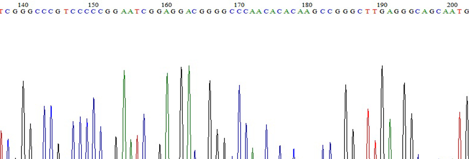 DNA Sequencing Trace